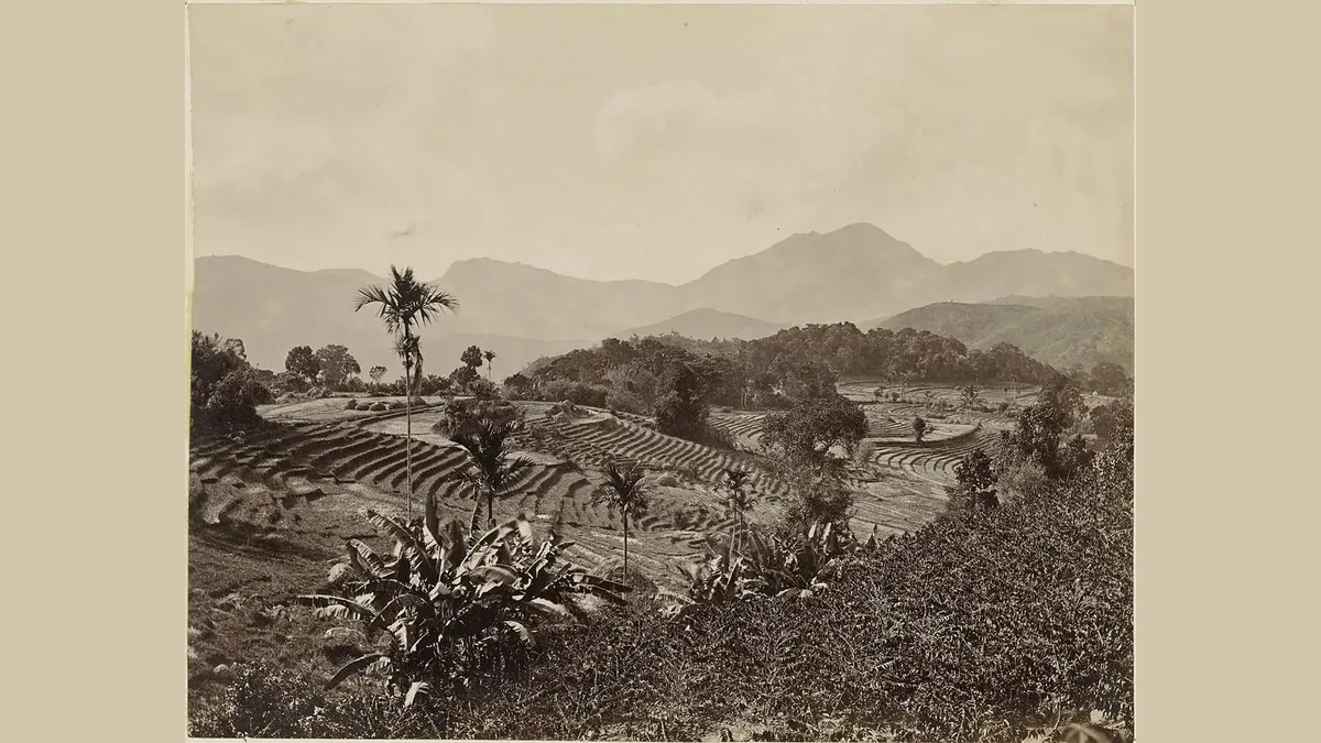 Four Lines and a Job: How Seepada Carried a Working Island